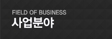 사업 분야
